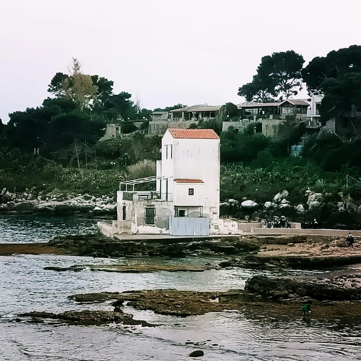 Imagen del artículo 3